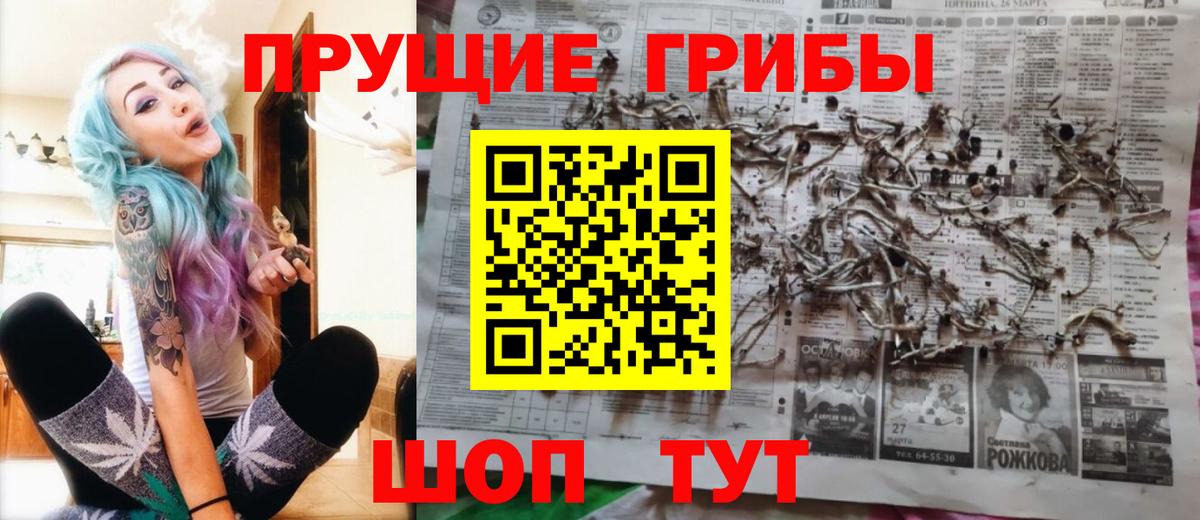 Псилоцибиновые грибы Cubensis Чехов
